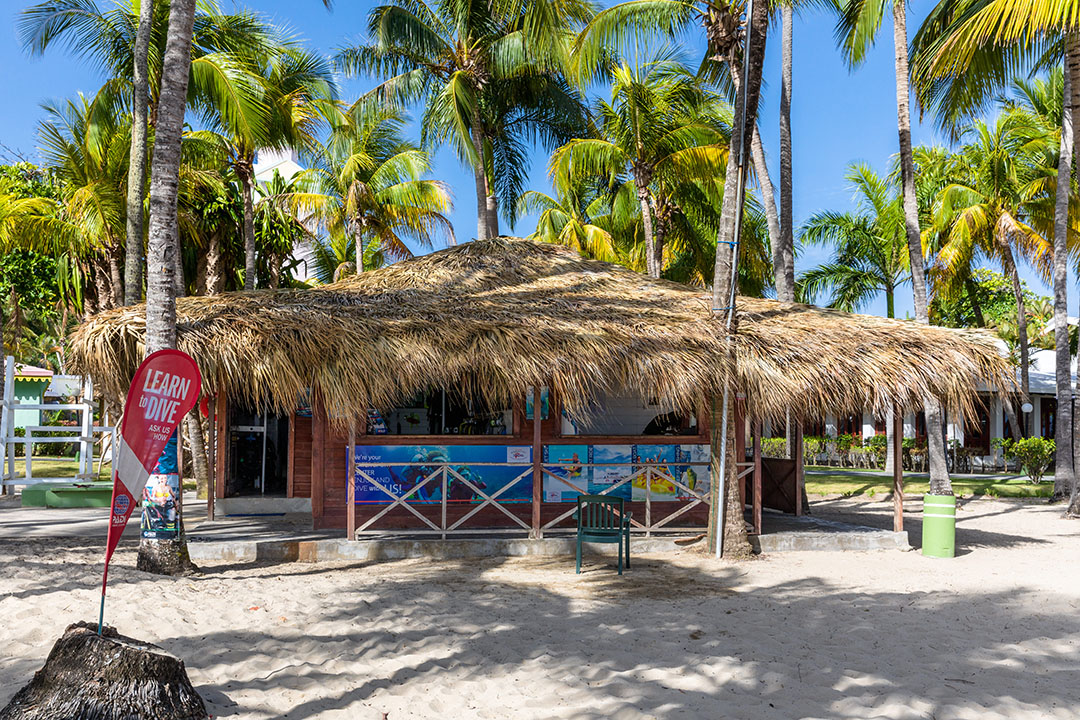 309_alta_playabachata Deporte.jpg